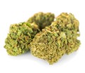 susz cbd lemon haze kraina konopi sklep cbd 1g 2g 3g 4g 5g 10g 20g 30g 40g 50g 100g 200g 300g 400g 500g 1000g 1kg 2kg 5kg 10kg hurt detal (8).jpg