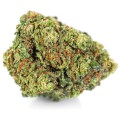 susz cbd super silver haze kraina konopi sklep cbd 1g 2g 3g 4g 5g 10g 20g 30g 40g 50g 100g 200g 300g 400g 500g 1000g 1kg 2kg 5kg 10kg hurt detal (1).jpg