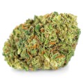 susz cbd super silver haze kraina konopi sklep cbd 1g 2g 3g 4g 5g 10g 20g 30g 40g 50g 100g 200g 300g 400g 500g 1000g 1kg 2kg 5kg 10kg hurt detal (10).jpg