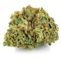 susz cbd super silver haze kraina konopi sklep cbd 1g 2g 3g 4g 5g 10g 20g 30g 40g 50g 100g 200g 300g 400g 500g 1000g 1kg 2kg 5kg 10kg hurt detal (13).jpg