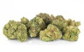 susz cbd super silver haze kraina konopi sklep cbd 1g 2g 3g 4g 5g 10g 20g 30g 40g 50g 100g 200g 300g 400g 500g 1000g 1kg 2kg 5kg 10kg hurt detal (14).jpg