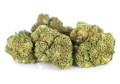 susz cbd super silver haze kraina konopi sklep cbd 1g 2g 3g 4g 5g 10g 20g 30g 40g 50g 100g 200g 300g 400g 500g 1000g 1kg 2kg 5kg 10kg hurt detal (15).jpg
