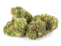 susz cbd super silver haze kraina konopi sklep cbd 1g 2g 3g 4g 5g 10g 20g 30g 40g 50g 100g 200g 300g 400g 500g 1000g 1kg 2kg 5kg 10kg hurt detal (17).JPG